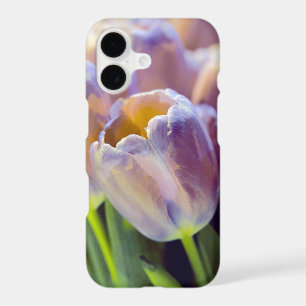 Tulip Portrait Restyle