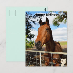 Tulip The Brown Bay Horse, Birthday Postcard