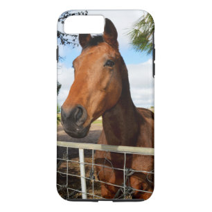 Tulip The Brown Bay Horse, iPhone 8 Plus/7 Plus Case