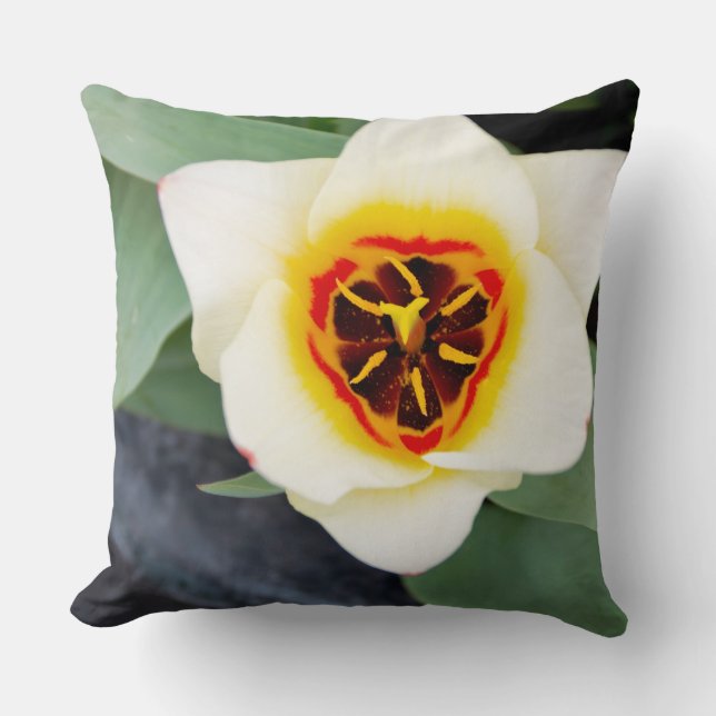 Tulip Throw Pillow (Front)
