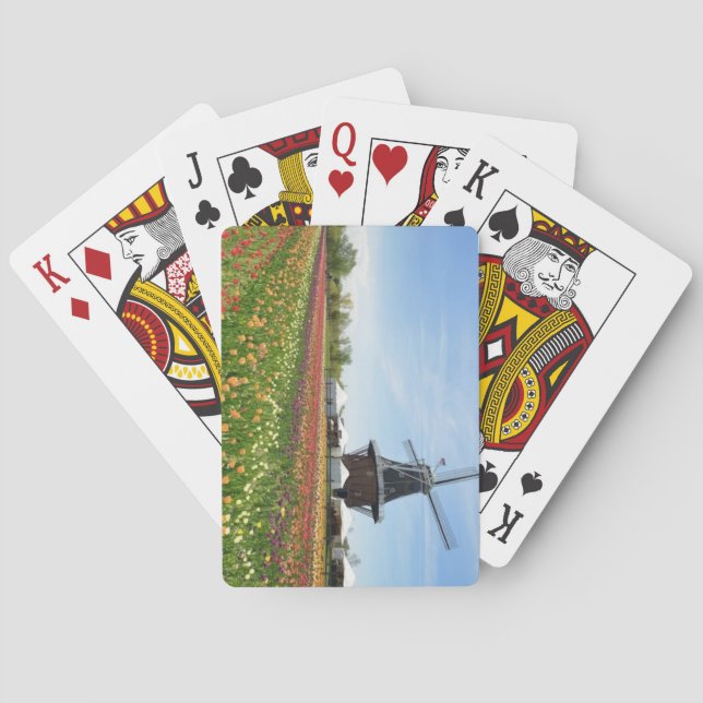 Tulip Time Festival (Holland, Michigan) Playing Cards (Back)