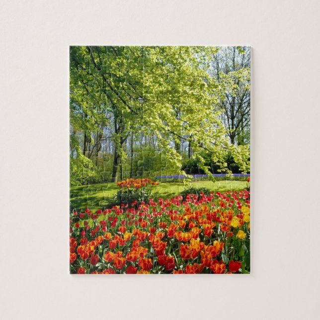 Tulip time, gardens at Keukenhof Jigsaw Puzzle (Vertical)