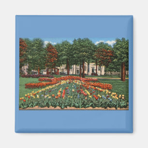 Tulip Time Holland, Michigan Magnet