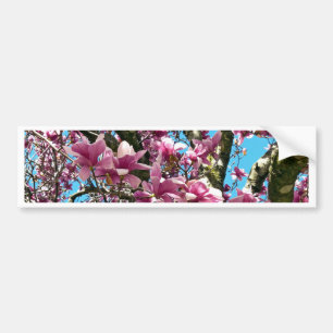 Tulip Tree Bumper Sticker