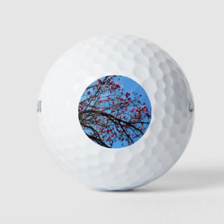 Tulip Tree in Bloom Golf Balls