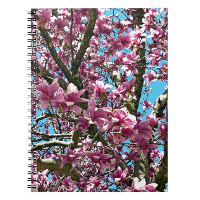 Tulip Tree Notebook (Front)