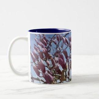 Tulip Tree / Saucer Magnolia Blossoms Two-Tone Coffee Mug