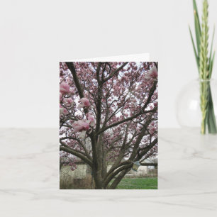 Tulip Tree Spring Has Sprung Card