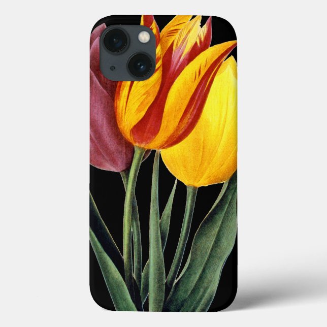 Tulip (Tulipa Gesneriana) Case-Mate iPhone Case (Back)