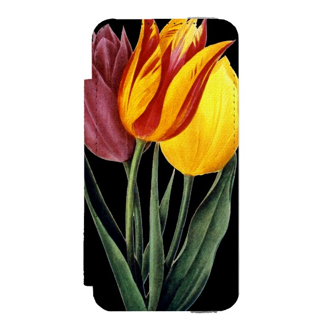 Tulip (Tulipa Gesneriana) Incipio iPhone Wallet Case (Folio Front)
