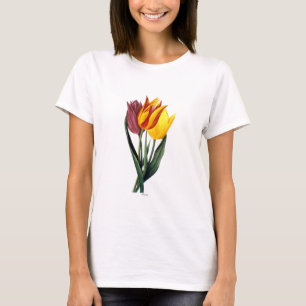Tulip (Tulipa Gesneriana) T-Shirt