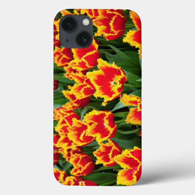 Tulipa Fabio, Keukenhof, Netherlands Case-Mate iPhone Case (Back)