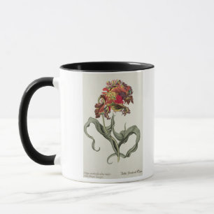 Tulipa Monstrosa Rubra Maior from 'Phythanthoza Ic Mug