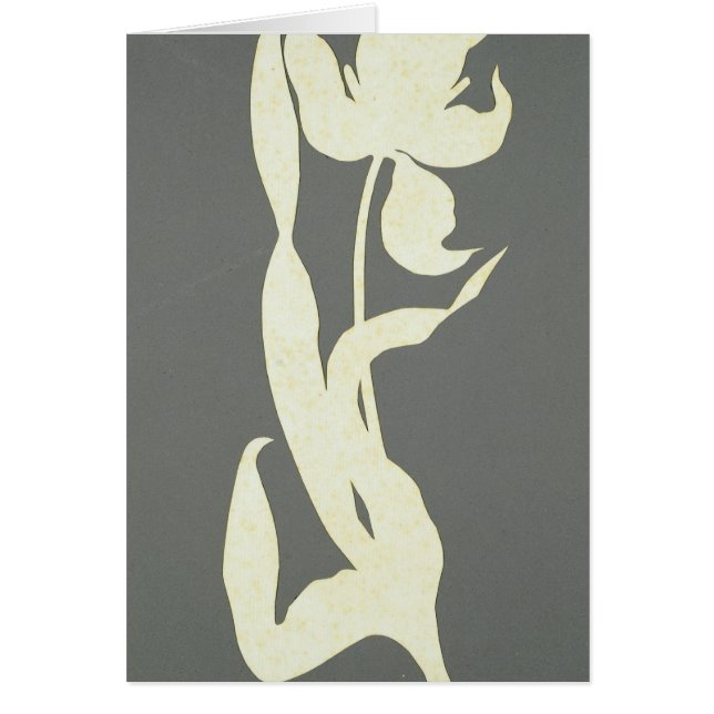 Tulipe (Devant)