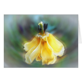 Tulipe de danse