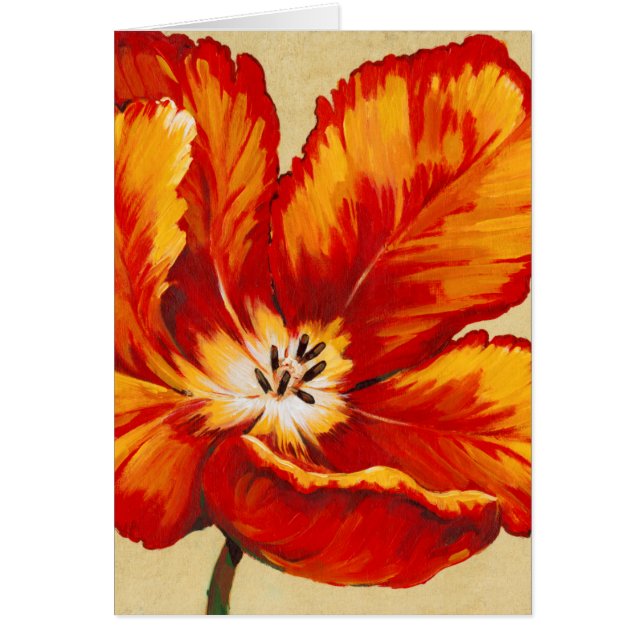 Tulipe de perroquet I (Devant)