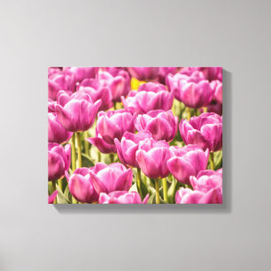 Tulipe fuchsia - toile