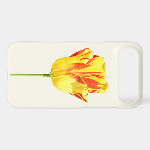 Tulipe jaune et rouge