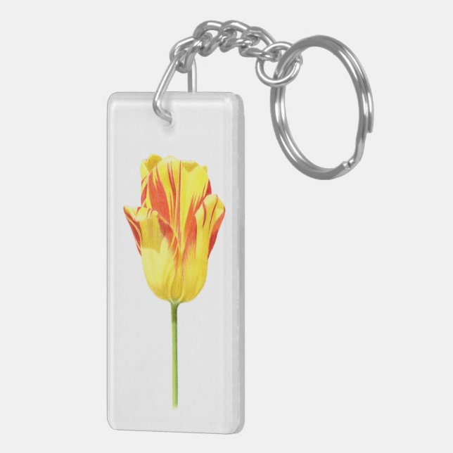 Tulipe jaune et rouge (Dos droit)