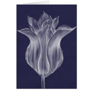 Tulipe monochrome III