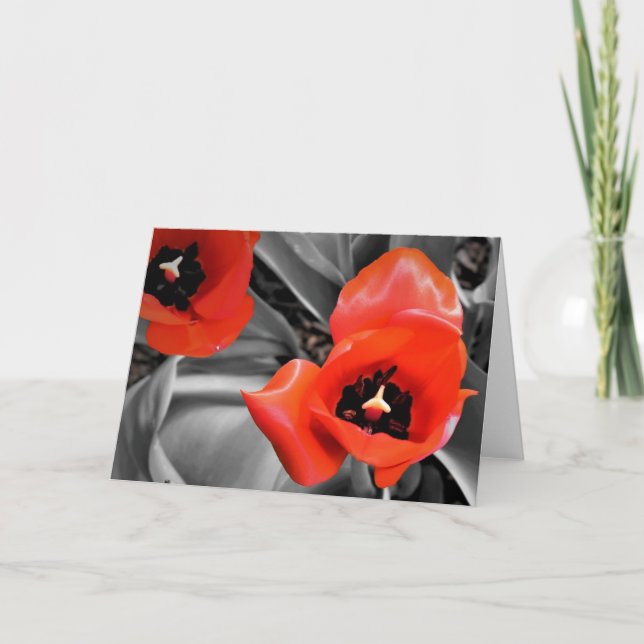 Tulipe rouge, carte (Devant)