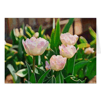 Tulipes à menthe poivrée (Impasto)