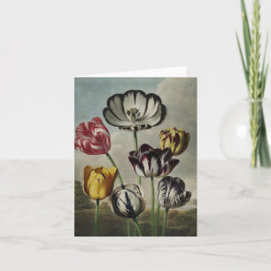 Tulipes antiques de botanicals sur des cartes pour