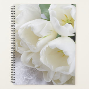 Tulipes blanches