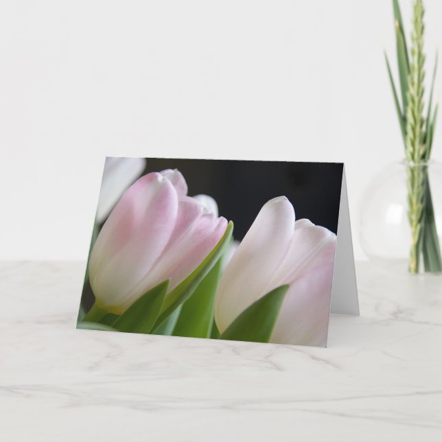 Tulipes • Carte de vœux (Devant)