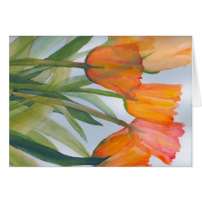 Tulipes d'agrumes orange (Devant horizontal)