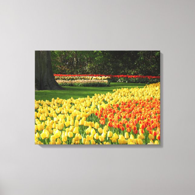 Tulipes D'Art En Toile (Recto)
