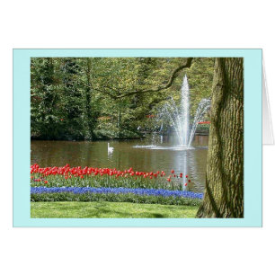 "Tulipes de printemps"