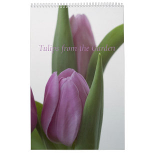 Tulipes du Calendrier des Jardins
