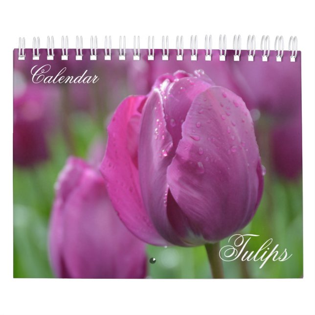 Tulipes du calendrier photo (Protection)