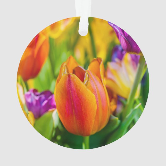 Tulipes Enchantant (dos)