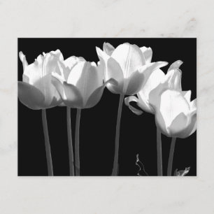 Tulipes, Faire-part de mariage B&W