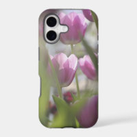 Tulipes, Jardins de Keukenhoff, Pays-Bas.