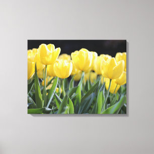 Tulipes Jaunes Enveloppé Toile Art Imprimer