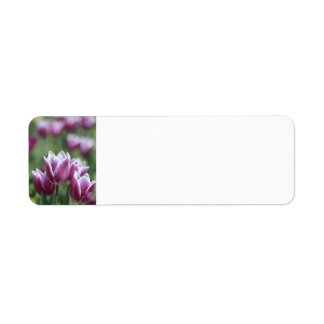 Tulipes pourpres, Étiquettes de adresse printanier
