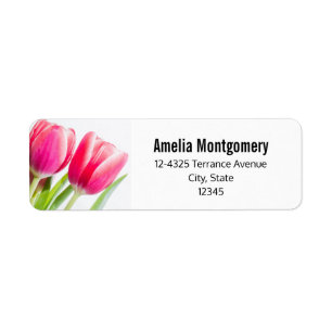 Tulipes roses avec Feuille vert Adresse photo