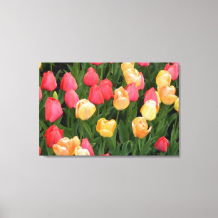 Tulipes (Rouge/Jaune) en toile enveloppée