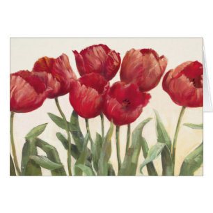 Tulipes rouges