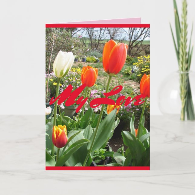 Tulipes rouges Ma carte de fleurs de printemps aim (Devant)