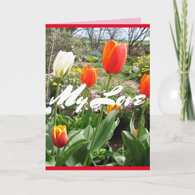 Tulipes rouges Mon amour Fleurs de printemps Carte (Devant)