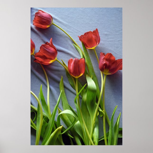 Tulipes rouges pour Kerstin Poster Imprimer (Devant)