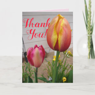 Tulipes Tulipes Fleur rose rouge Carte de remercie