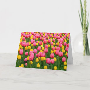 Tulips 1 Blank Greeting Card
