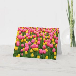 Tulips 1 Blank Greeting Card