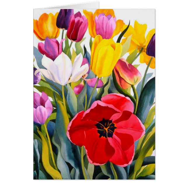 Tulips 2007 (Front)