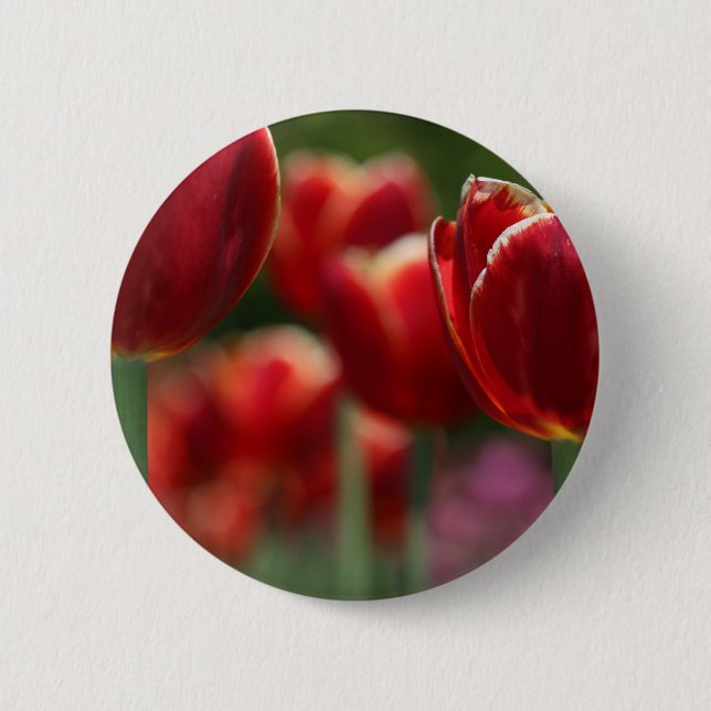 Tulips 2 Inch Round Button (Front)